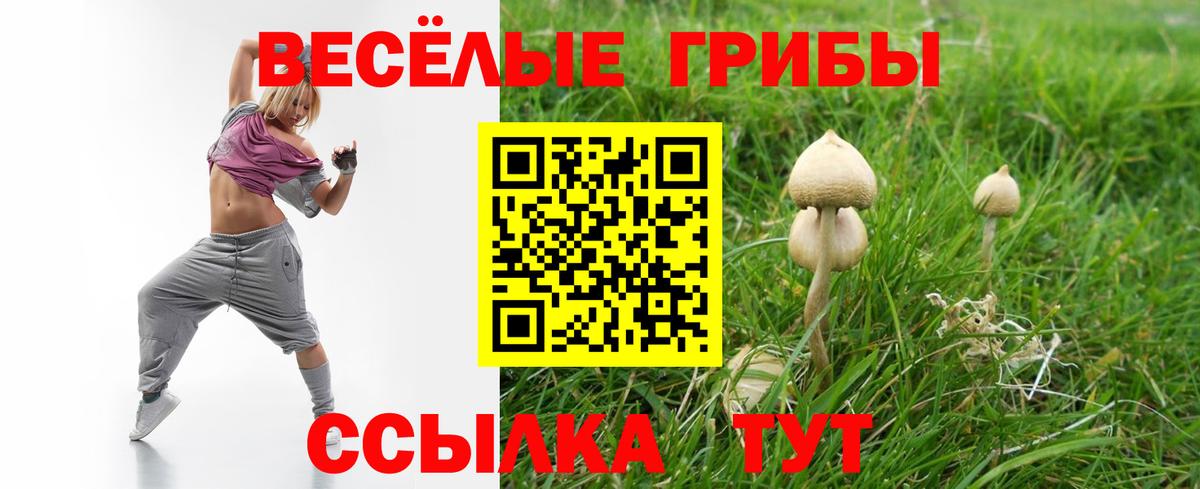 Псилоцибиновые грибы Cubensis  Вход с VPN  Армавир 